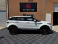 Land Rover Range Rover Evoque Evoque 2.2 TD4 -  Pure - Garantie 12 Mois Bianco - thumbnail 8