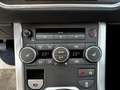 Land Rover Range Rover Evoque Evoque 2.2 TD4 -  Pure - Garantie 12 Mois Bianco - thumbnail 18