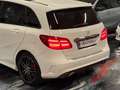 Mercedes-Benz B 200 B 200 CDI 4Matic*AMG-Line*Pano*Rückfahrkamera* Weiß - thumbnail 15