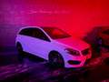 Mercedes-Benz B 200 B 200 CDI 4Matic*AMG-Line*Pano*Rückfahrkamera* Weiß - thumbnail 34
