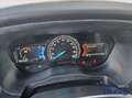 Ford Ranger 2.0 ECOBLUE DC Wildtrak 5 posti Bianco - thumbnail 6