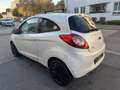 Ford Ka/Ka+ Titanium Klima 1.Hand PDC Tüv & Inspektion Neu Wit - thumbnail 6