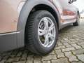 Hyundai NEXO Premium 8-Fach SHZ LED SITZBELÜFTUNG ACC Bronze - thumbnail 4