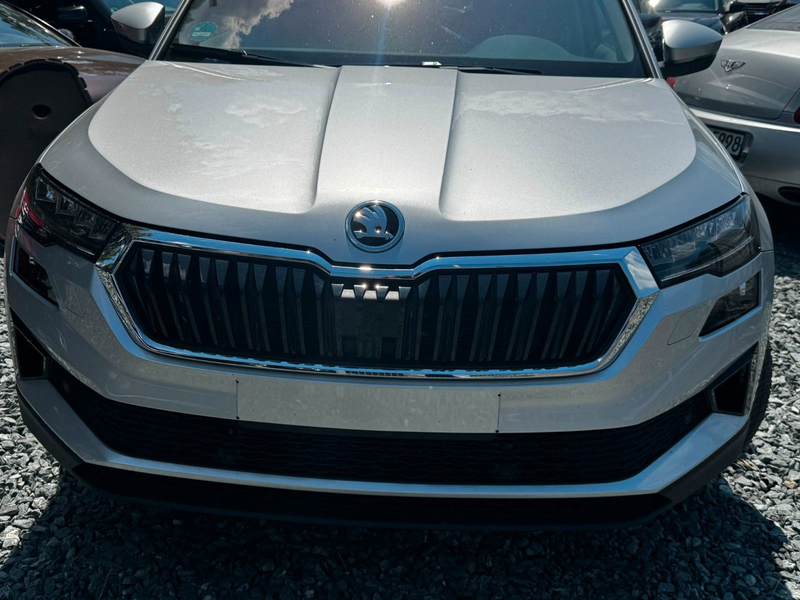 Skoda Karoq Clever 4x4 — photo 4