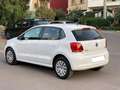 Volkswagen Polo Polo 5p 1.4 tdi Comfortline Giallo - thumbnail 5