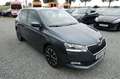 Skoda Fabia 1.0 KLIMA KAM LED APP DAB ALU 16 TÜV Neu Grau - thumbnail 4