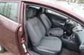 Ford Fiesta 1.4 Titanium *LPG-GAS *KLIMATRONIK *SITZH Negro - thumbnail 11