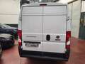 Fiat Ducato Fiat Ducato L3 H2 2.2 B-Hdi 140cv EURO 6d Blanco - thumbnail 7