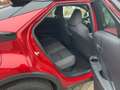 Toyota C-HR 2,0-l-Plug-in Hybrid, 5-Türer, Team D Rot - thumbnail 12