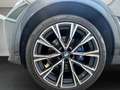 BMW X7 xDrive40d Grau - thumbnail 17