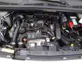 Citroen Berlingo Kasten Club XL/L2 Weiß - thumbnail 16