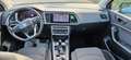 SEAT Ateca Ateca 2020 2.0 tdi Xperience 150cv dsg Verde - thumbnail 6