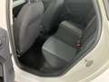 SEAT Ibiza Reference 1.0 TSI Weiß - thumbnail 15