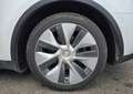 Tesla Model Y electric 300ch 60kwh standard-range Blanc - thumbnail 27