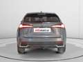 Lexus NX 300 300h Executive 4WD Gris - thumbnail 3