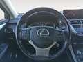 Lexus NX 300 300h Executive 4WD Gris - thumbnail 8