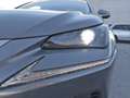 Lexus NX 300 300h Executive 4WD Gris - thumbnail 21