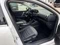 Citroen C4 1.2 PureTech Shine S&S 130 Blanco - thumbnail 10
