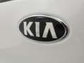Kia Niro E- DRIVE (LONG RANGE) 150 KW 204 CV 5P - thumbnail 23