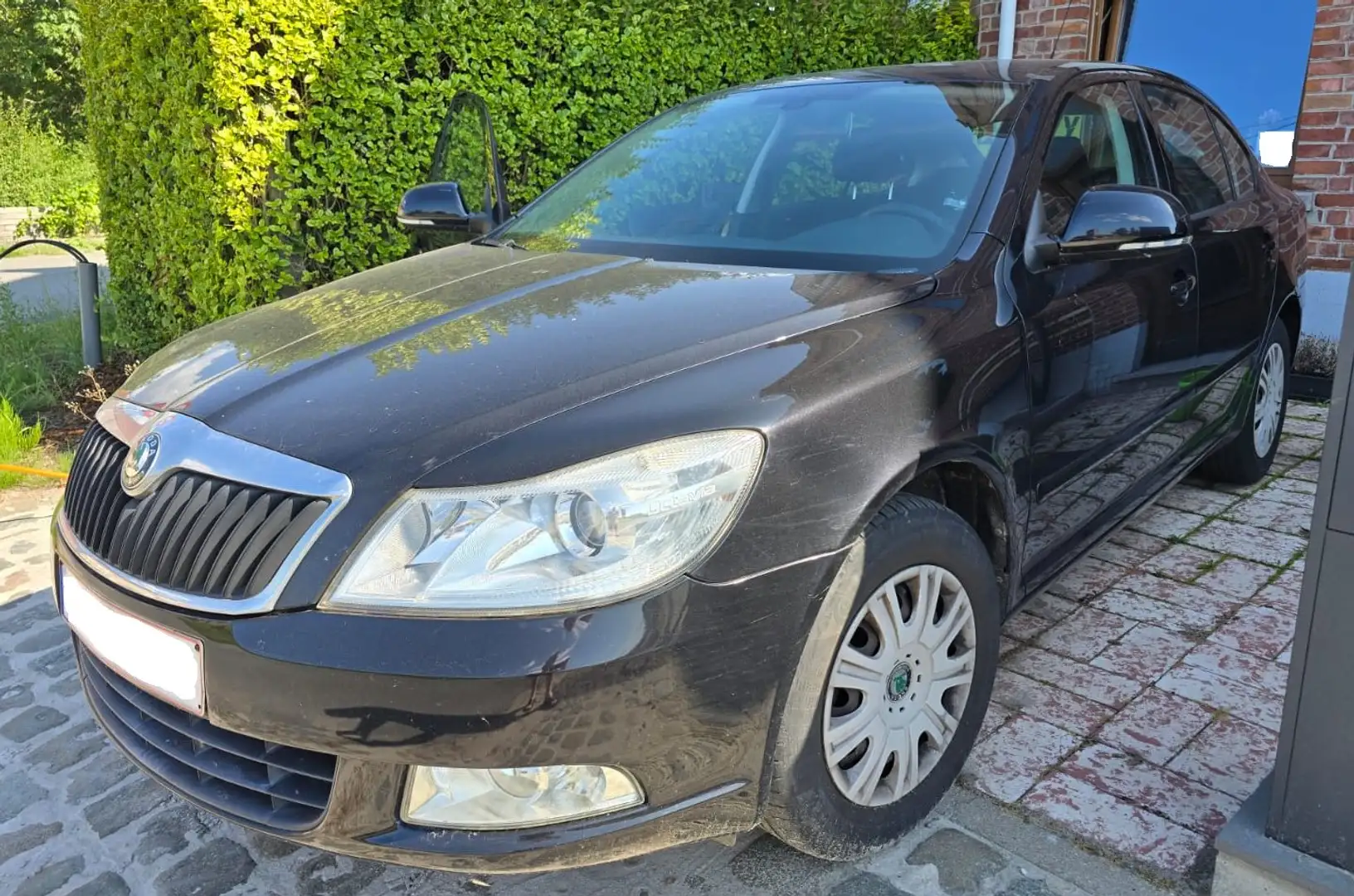 Skoda Octavia Octavia 1.6 TDI DPF Ambiente Zwart - 2