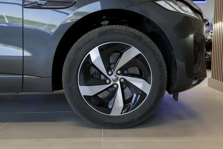 Jaguar F-Pace 2024, foto 14