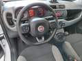 Fiat Panda 0.9 TwinAir Turbo Natural Power City Life Blanc - thumbnail 25