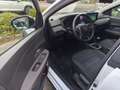 Dacia Sandero Stepway Comfort Navi AHK , Allwetterreifen Weiß - thumbnail 3