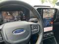 Ford Ranger Wildtrak X Doppelkabine LKW *LED-MATRIX* Argent - thumbnail 21