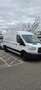Ford Transit Variobus 2,2 TDCI L3H2 350 Weiß - thumbnail 3