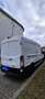 Ford Transit Variobus 2,2 TDCI L3H2 350 Weiß - thumbnail 5