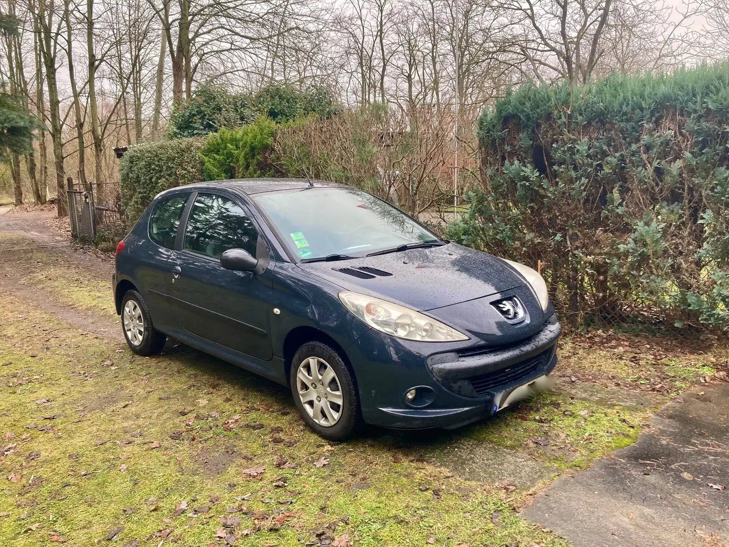 Peugeot 206 206 206+ 60 Grau - 2