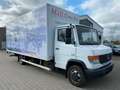 Mercedes-Benz 816d Vario Koffer Bianco - thumbnail 3