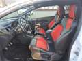 Ford Fiesta 1.6 ST1 134KW 182PK MOOIE AUTO Weiß - thumbnail 13