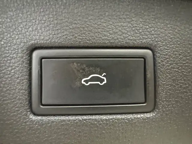 Seat Tarraco view 9