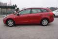 Kia Ceed SW / cee'd SW cee'd Sportswagon ceed SW 1,4 MPI CVVT Cool Rot - thumbnail 4