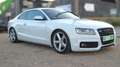 Audi A5 Coupé 2.7TDI Multitronic Blanc - thumbnail 3