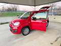 Fiat Panda 1.2 Pop UNICO PROPRIETARIO POCHI CHILOMETRI Rot - thumbnail 40