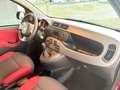 Fiat Panda 1.2 Pop UNICO PROPRIETARIO POCHI CHILOMETRI Rot - thumbnail 9