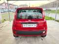 Fiat Panda 1.2 Pop UNICO PROPRIETARIO POCHI CHILOMETRI Rot - thumbnail 5