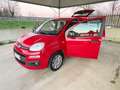 Fiat Panda 1.2 Pop UNICO PROPRIETARIO POCHI CHILOMETRI Rot - thumbnail 41
