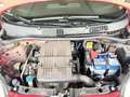 Fiat Panda 1.2 Pop UNICO PROPRIETARIO POCHI CHILOMETRI Rot - thumbnail 45