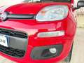 Fiat Panda 1.2 Pop UNICO PROPRIETARIO POCHI CHILOMETRI Rot - thumbnail 29