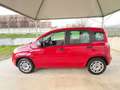 Fiat Panda 1.2 Pop UNICO PROPRIETARIO POCHI CHILOMETRI Rot - thumbnail 8