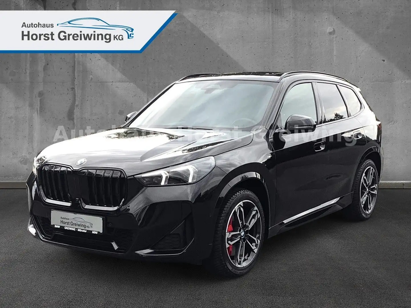 BMW X1 20 i sDrive M SportPro. Pano,AHK,Head-Up,360° Schwarz - 1