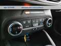 Ford Focus 1.0 ecoboost hybrid ST-Line 125cv Blu/Azzurro - thumbnail 13