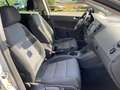 Volkswagen Golf Plus VI Style 1.2 Navi Kamera PDC Klimaauto Argento - thumbnail 25