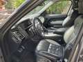 Land Rover Range Rover Sport SDV6 Autobiography Dynamic Grau - thumbnail 14