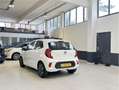 Kia Picanto 1.0 CVVT ComfortLine | 5P | Bluetooth | 1 Eig | Ai Blanc - thumbnail 6