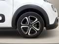 Citroen C3 PureTech 83 S&S Shine Bianco - thumbnail 40