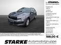 Skoda Kamiq 1.0 TSI DSG Selection Grau - thumbnail 1